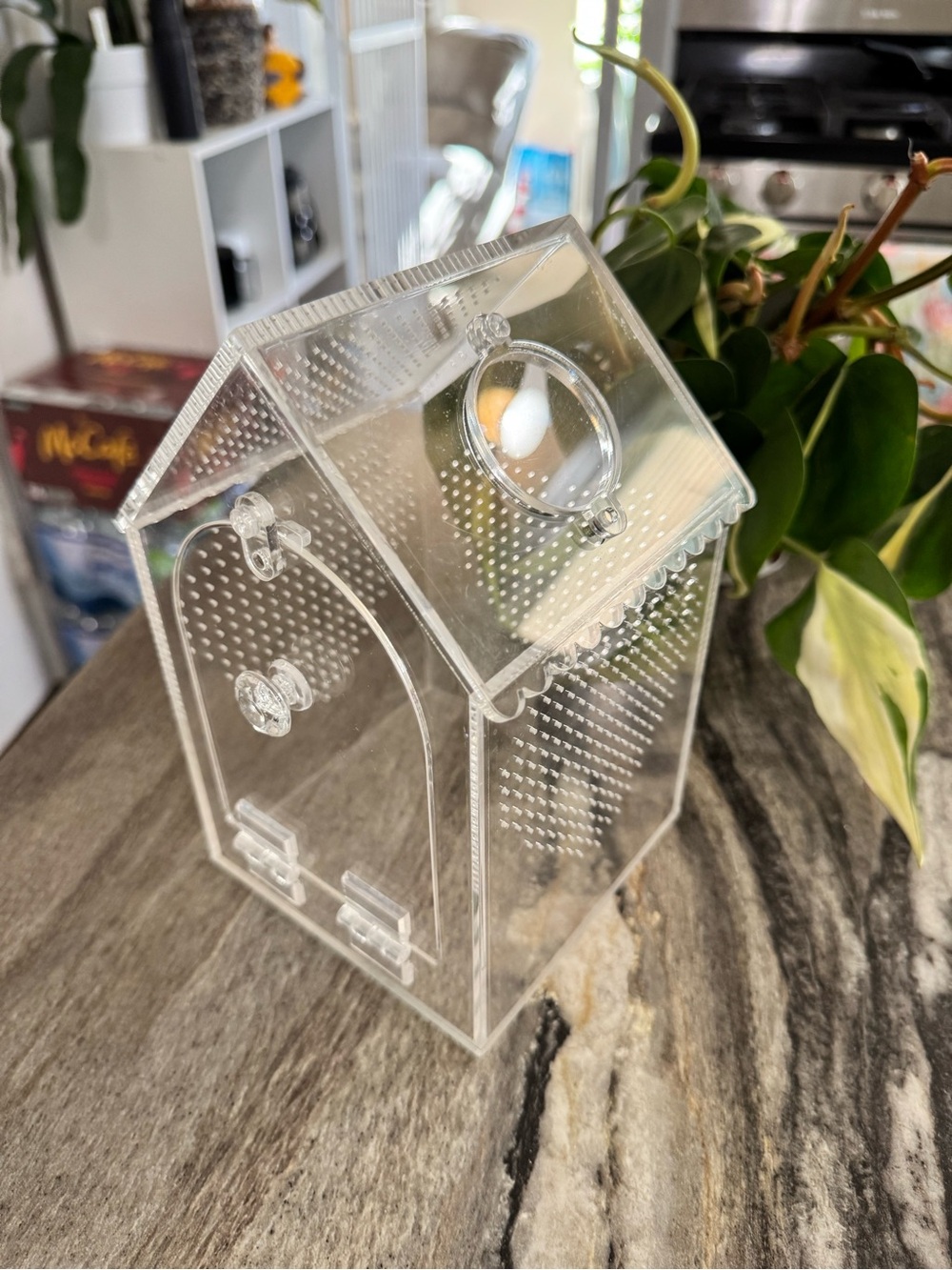 Clear Acrylic House-Shaped small pet enclosure - Picture 4 of 9